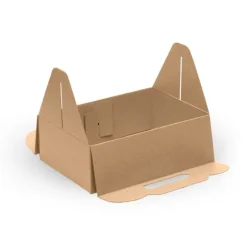 Carry Tray Box