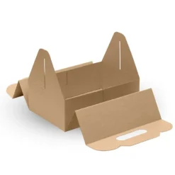 Carry Tray Box