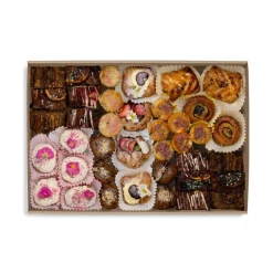 Extra Large BioBoard Catering Tray Base