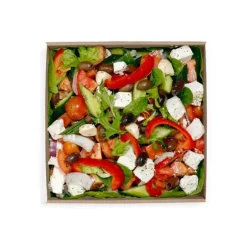 Small BioBoard Catering Tray Base