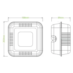 20x22x9cm / 7.8x8x3" White Plant Fibre Clamshell