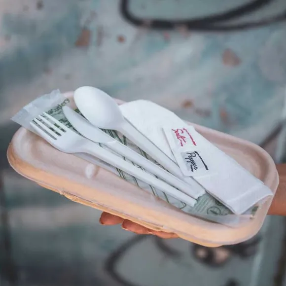 16.5cm / 6.5" PLA Knife, Fork, Spoon, Napkin, Salt & Pepper Set