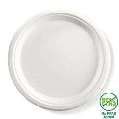 25cm / 10" Round Plant Fibre Plate