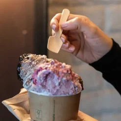 10cm Wood Ice Cream Spoon