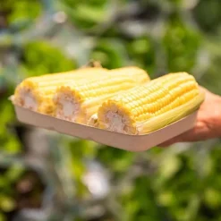 480g Plant Fibre Produce Tray