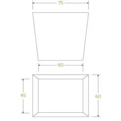 240ml / 8oz BioBoard Noodle Box