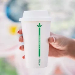 280ml / 8oz (80mm) White Green Line Single Wall BioCup