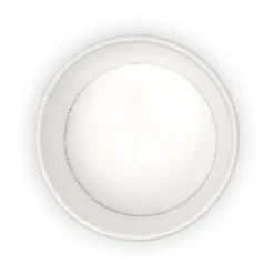 120ml / 4oz Paper Sauce BioCup