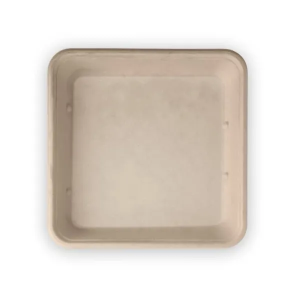 1,750ml Large Natural Plant Fibre Takeaway Base