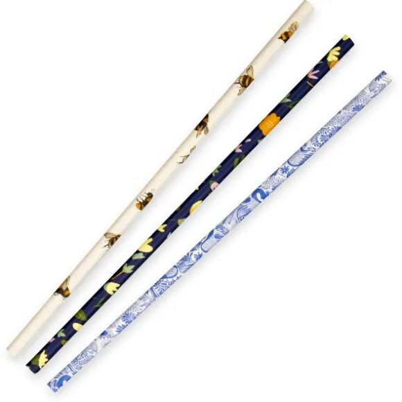 6mm Regular Art Series BioStraw