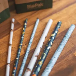 6mm Regular Art Series BioStraw