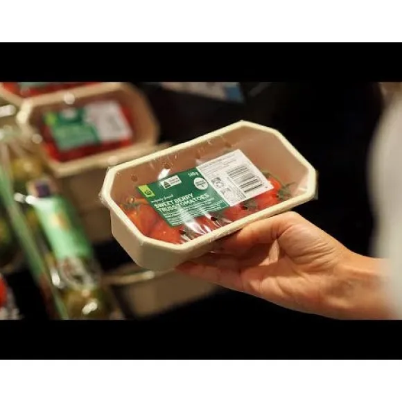RPET Oyster Tray Lid