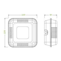 23x23x8cm / 9x9x3in White Plant Fibre Clamshell