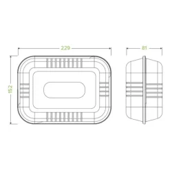 23x15x8cm / 9x6x3in White Plant Fibre Clamshell